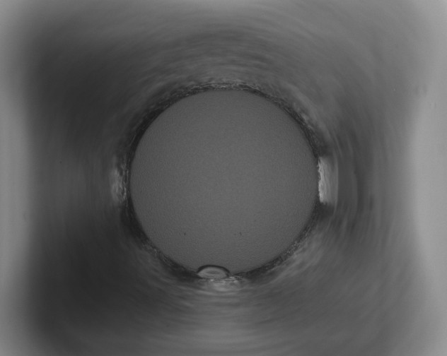 X0000102291491200808081512