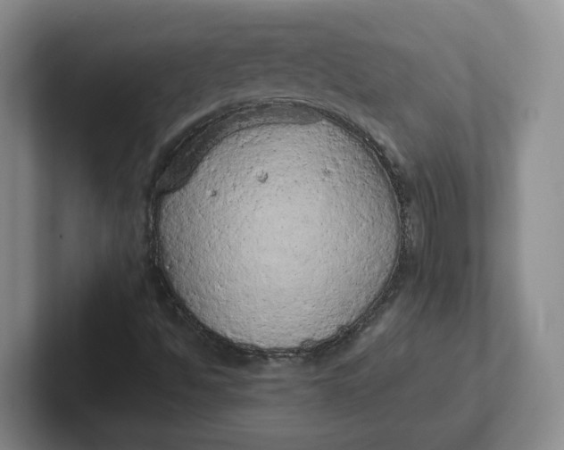 X0000102291494200808081512