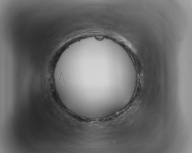 X0000102291496200808081512