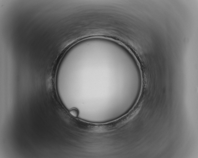 X0000102291497200808081512