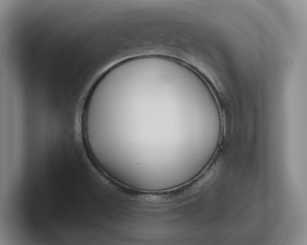 X0000102291500200808081512