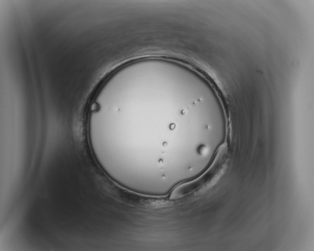 X0000102291501200808081512