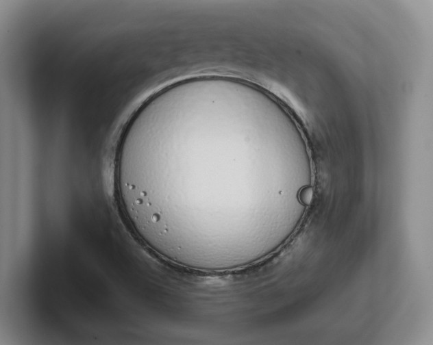 X0000102291504200808081512