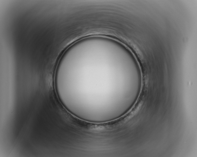 X0000102291505200808081512