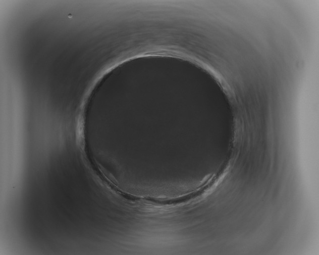 X0000102291506200808081512