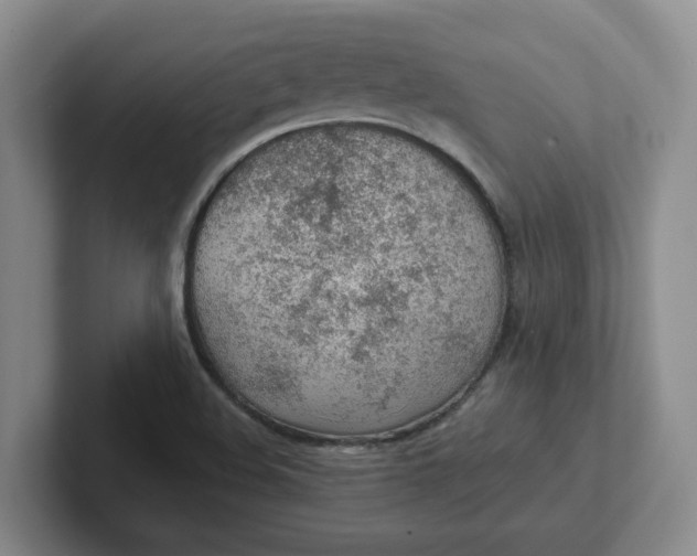 X0000102291508200808081512