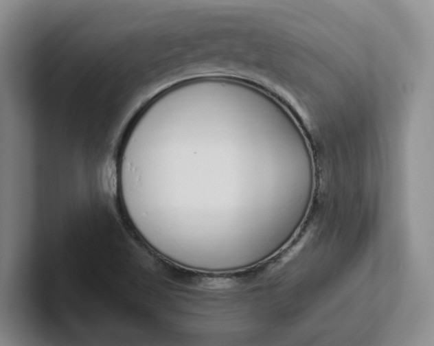 X0000102291509200808081512