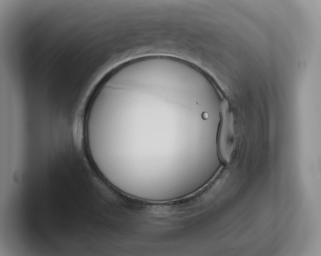 X0000102291511200808081512