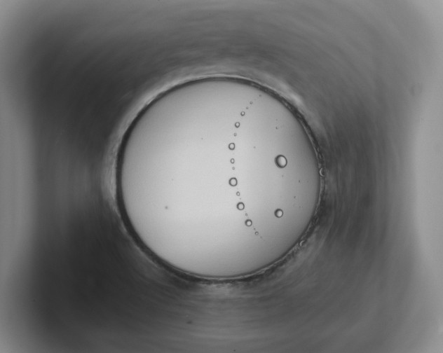 X0000102291512200808081512