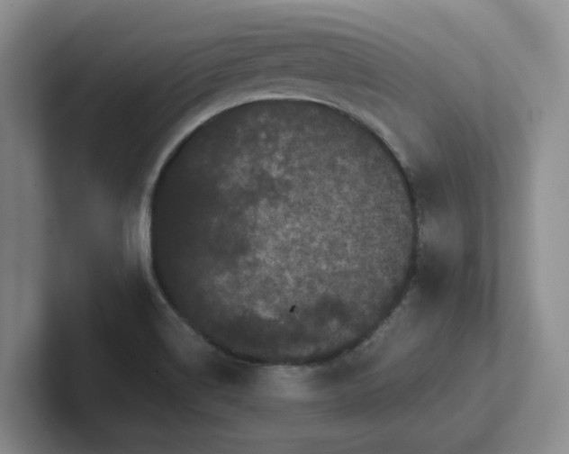 X0000102291514200808081512