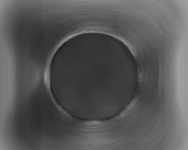 X0000102291515200808081512