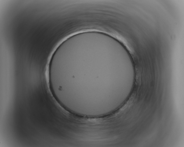 X0000102291516200808081512