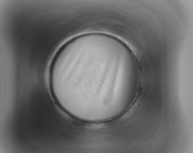 X0000102291519200808081512