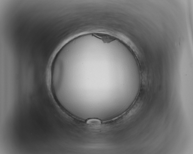 X0000102291520200808081512