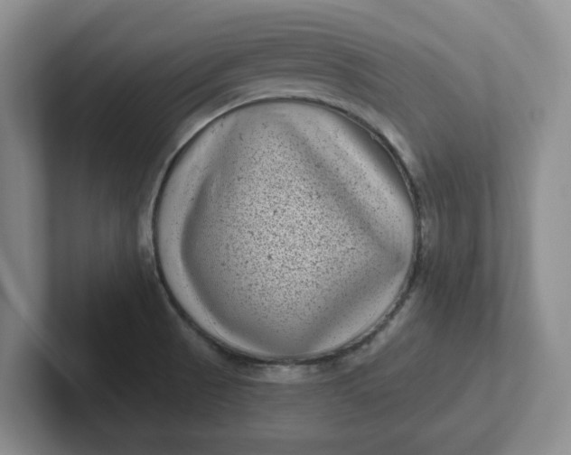 X0000102291521200808081512