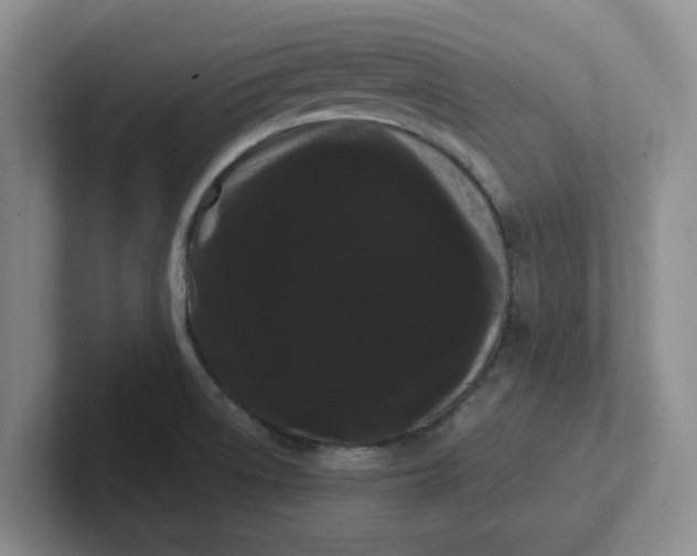 X0000102291522200808081512