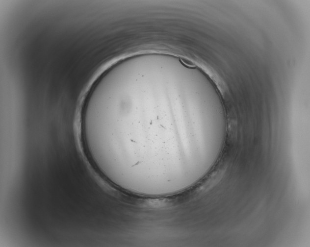 X0000102291523200808081512