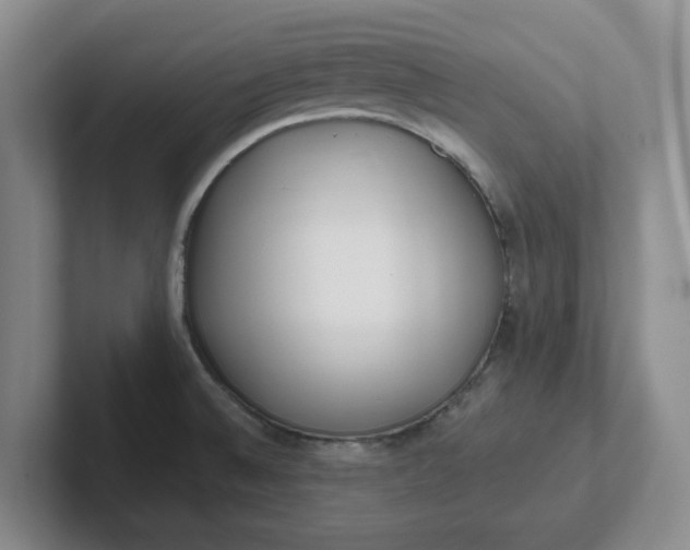 X0000102291524200808081512