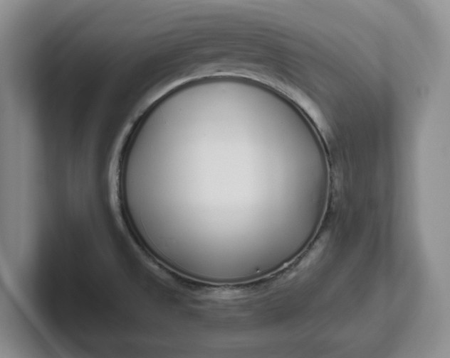 X0000102291525200808081512