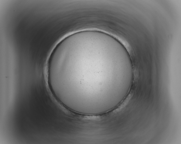 X0000102291526200808081512