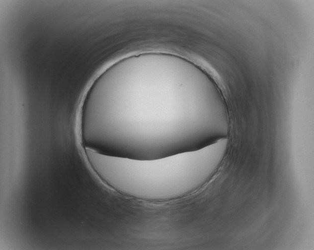 X0000102291528200808081512