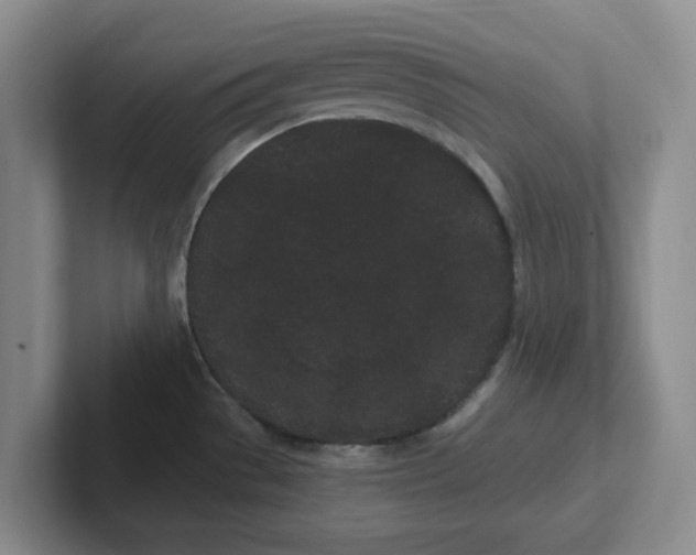 X0000102291529200808081512