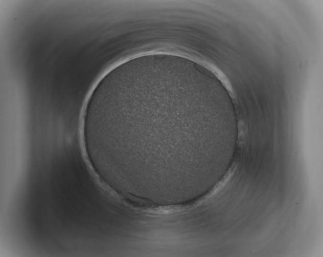 X0000102291530200808081512