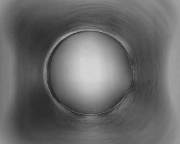 X0000102291531200808081512