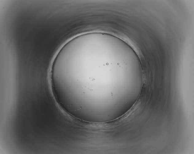 X0000102291532200808081512