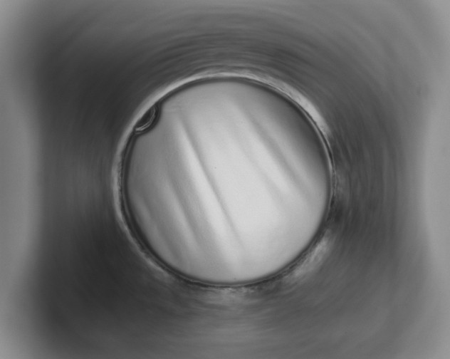 X0000102291533200808081512