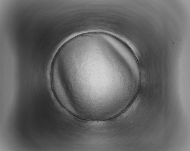 X0000102291534200808081512