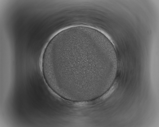 X0000102291535200808081512