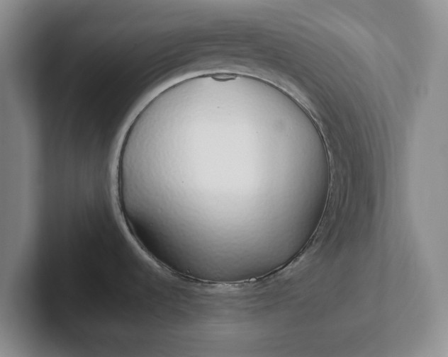 X0000102291536200808081512