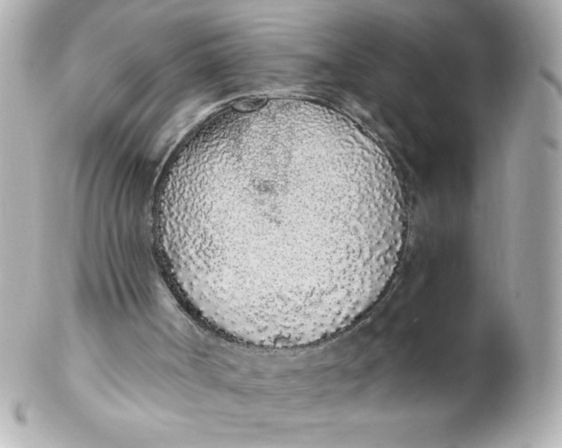 X0000102290002200808152005