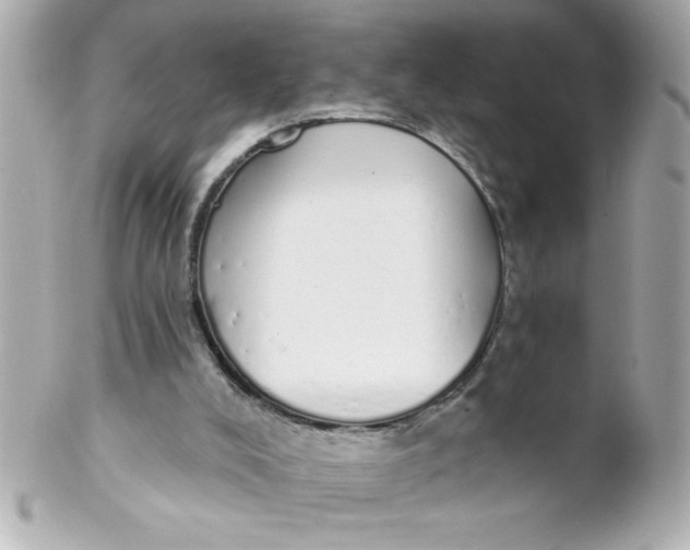 X0000102290008200808152005