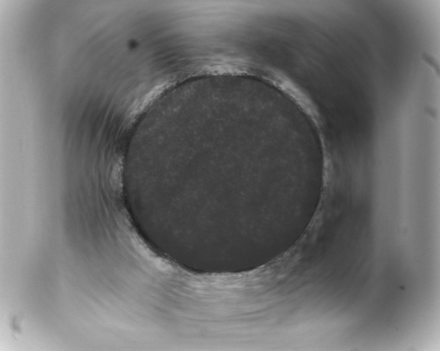 X0000102290009200808152005