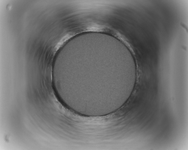 X0000102290011200808152005