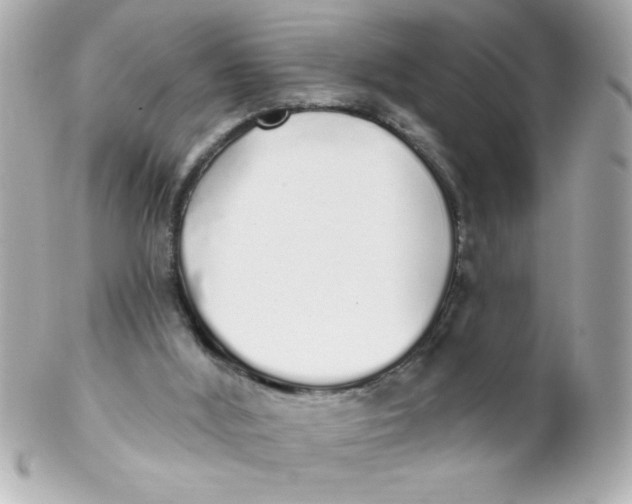 X0000102290012200808152005