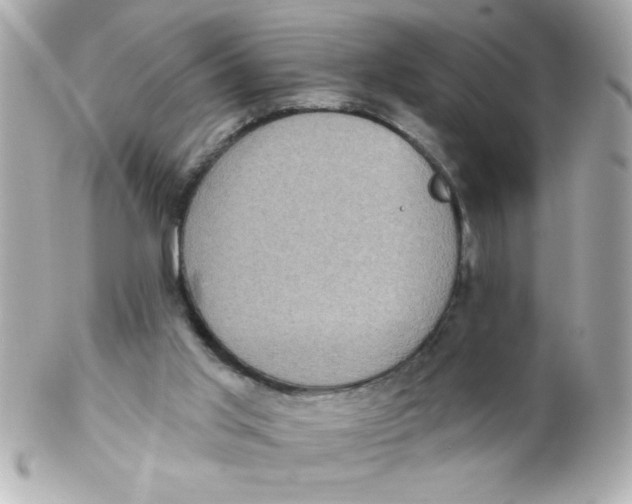 X0000102290013200808152005