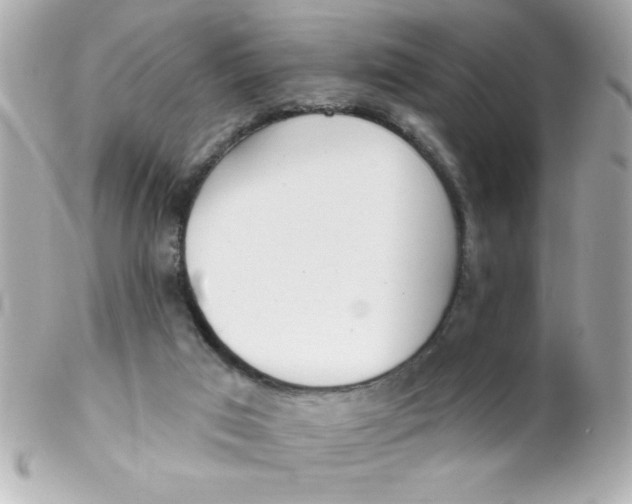 X0000102290017200808152005