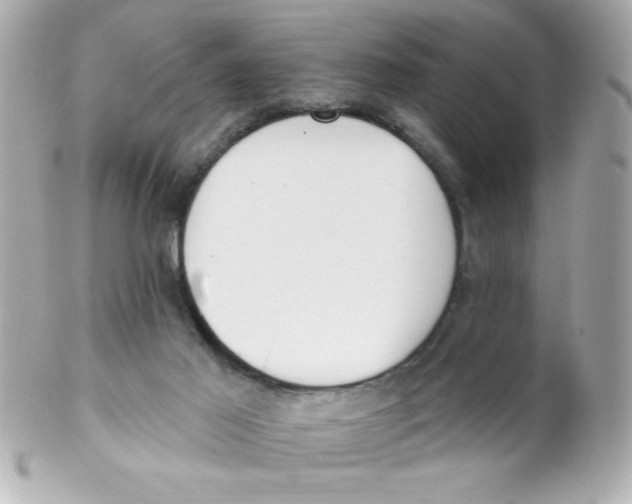 X0000102290021200808152005