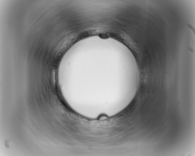 X0000102290022200808152005