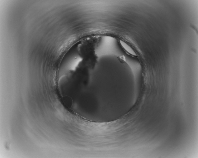 X0000102290023200808152005