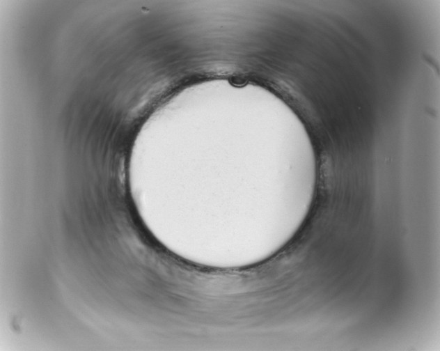 X0000102290024200808152005