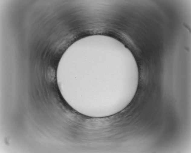 X0000102290025200808152005