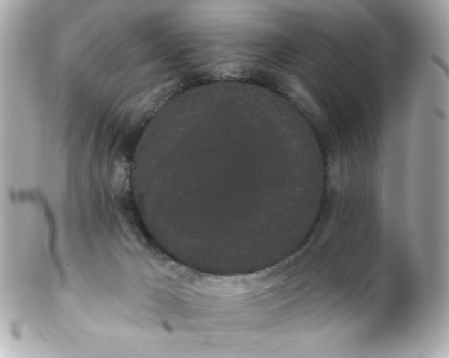 X0000102290029200808152005