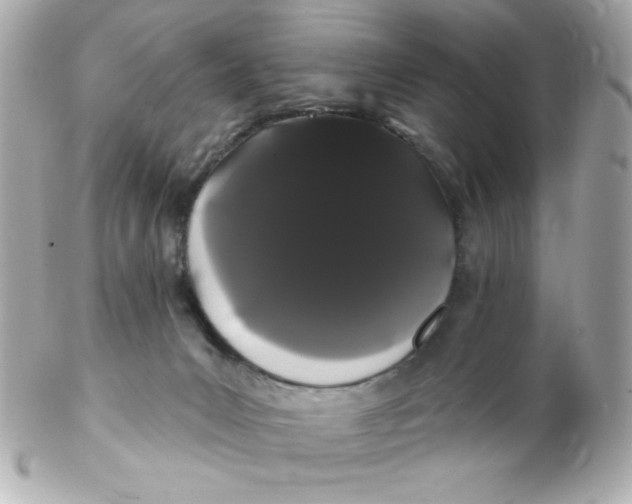 X0000102290031200808152005