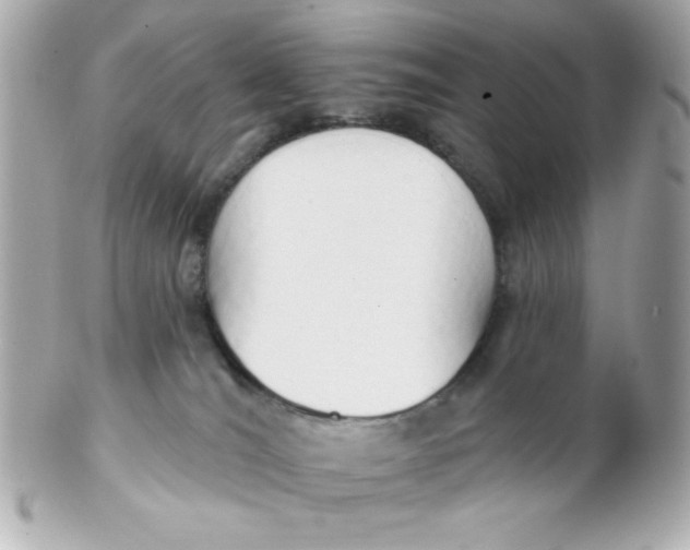 X0000102290036200808152005