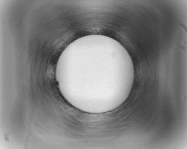 X0000102290037200808152005