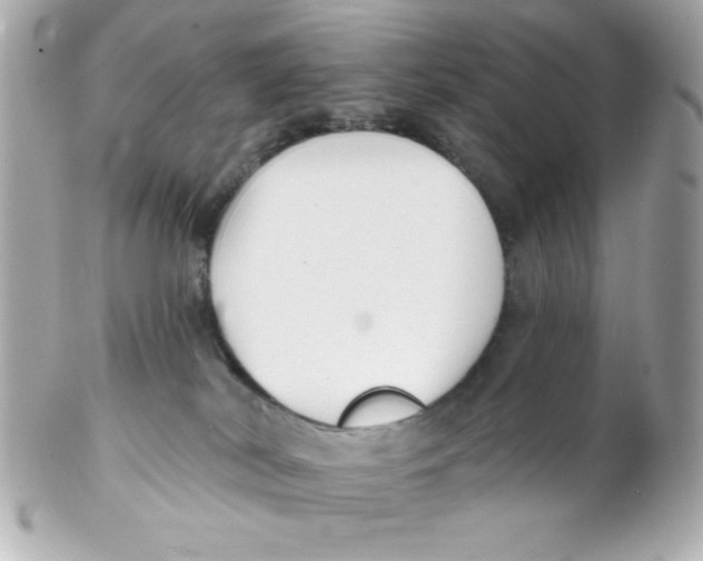 X0000102290038200808152005